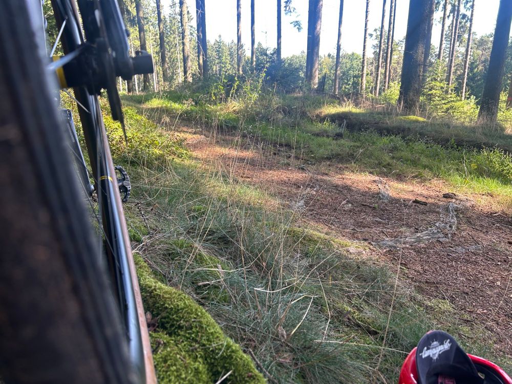 Links mein Fahrrad, mittig ein Waldweg, hinten Bäume, recht vorne der Helm 