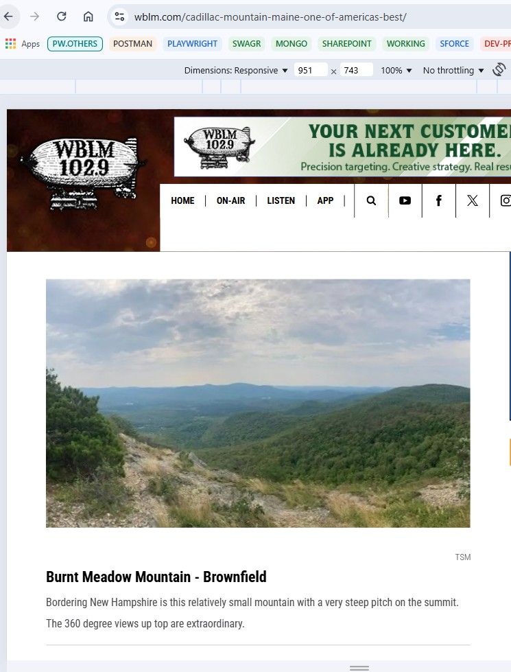 View from Burnt Meadow Mountain, Maine