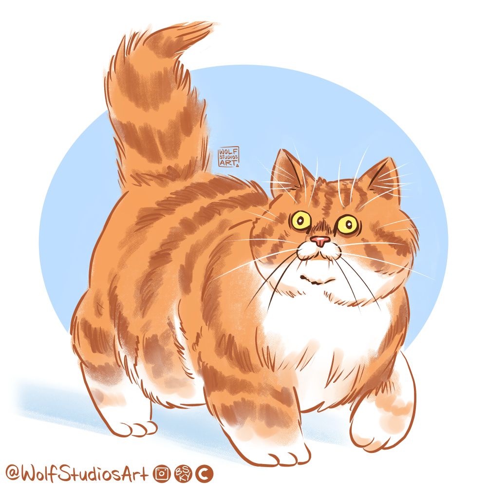 Cartoon illustration of a chonky orange cat with dark orange stripes and white belly. The boy be chonky.