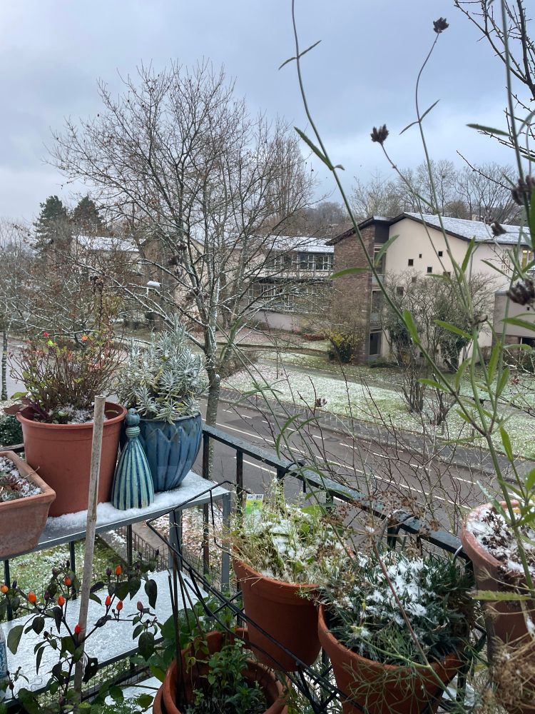 Blick auf den Balkon und die Straße und die Schule gegenüber, es liegt ganz zart ein wenig Schnee auf dem Blumentöpfen, der Wiese und den Dächern
