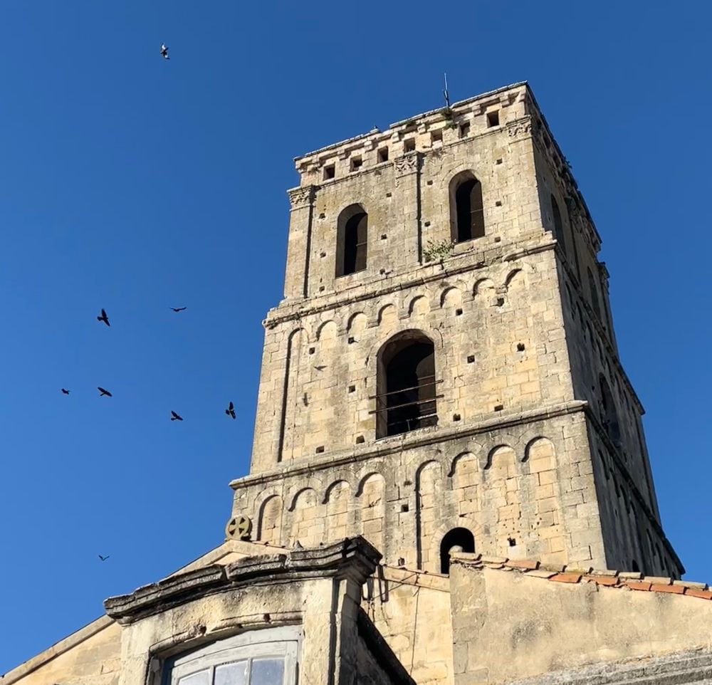 Turm der Abtei St. Trophime in Arles mit vielen kleinen, quadratischen Löchern, in denen Vögel wohnen, um den Turm fliegen Raben (keine Ahnung, welche Art genau) und Tauben. 
