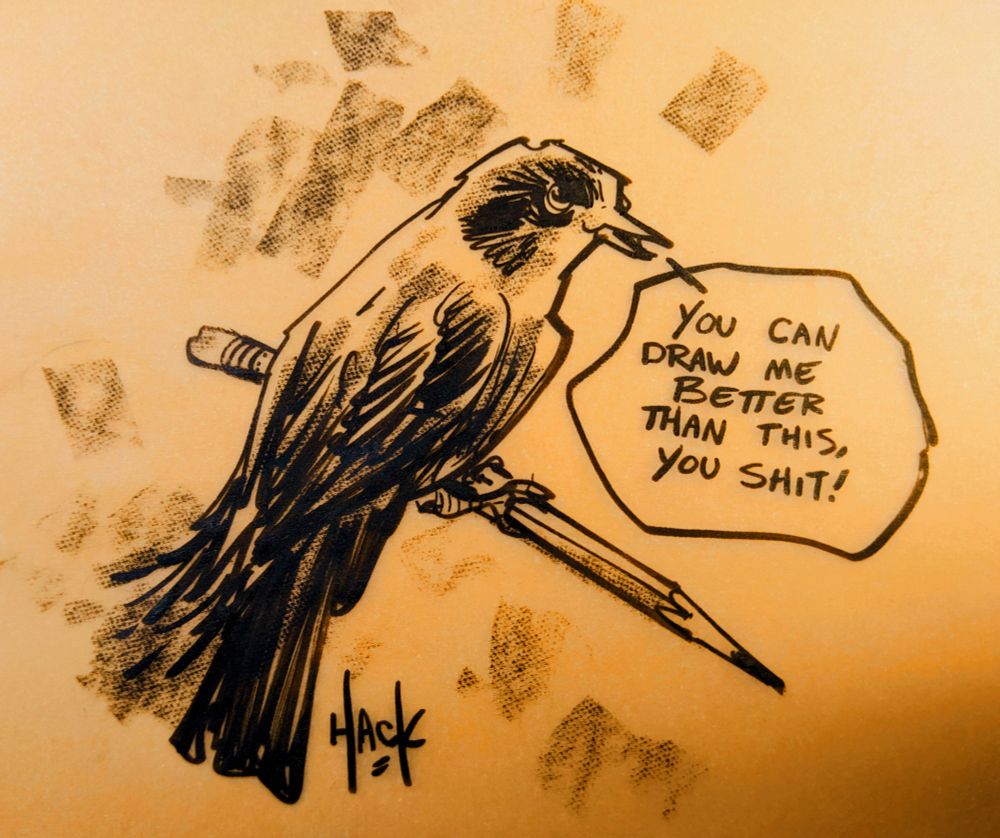A quick pen sketch of a generic bird, who is mocking my drawing skills, and by extension, their own hastily drawn existence. 