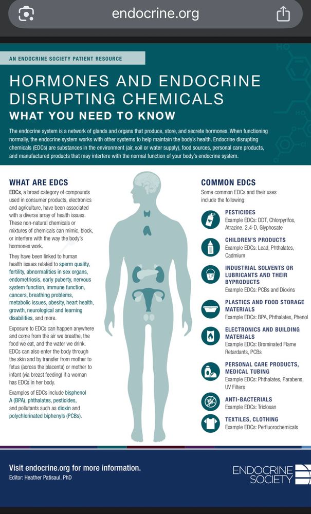 HORMONES AND ENDOCRINE
DISRUPTING CHEMICALS
WHAT YOU NEED TO KNOW
The endocrine system is a network of glands and organs that produce, store, and secrete hormones. When functioning normally, the endocrine system works with other systems to help maintain the body's health. Endocrine disrupting chemicals (EDCs) are substances in the environment (air, soil or water supply), food sources, personal care products, and manufactured products that may interfere with the normal function of your body's endocrine system.
WHAT ARE EDCS
EDCs, a broad category of compounds used in consumer products, electronics and agriculture, have been associated with a diverse array of health issues.
These non-natural chemicals or mixtures of chemicals can mimic, block, or interfere with the way the body's hormones work.
They have been linked to human health issues related to sperm quality, fertility, abnormalities in sex organs, endometriosis, early puberty, nervous system function, immune function, cancers, breathing problems,
metabolic issues, obesity, heart health. growth, neurological and learning disabilities, and more.
Exposure to EDCs can happen anywhere and come from the air we breathe, the food we eat, and the water we drink.
EDCs can also enter the body through the skin and by transfer from mother to fetus (across the placenta) or mother to infant (via breast feeding) if a woman has EDCs in her body.
Examples of EDCs include bisphenol
A (BPA), phthalates, pesticides, and pollutants such as dioxin and polychlorinated biphenyls (PCBs).
COMMON EDCS
Some common EDCs and their uses include the following:
PESTICIDES
Example EDCs: DDT, Chlorpyritos,
Atrazine, 2,4-D, Glyphosate
CHILDREN'S PRODUCTS
Example EDCs: Lead, Phthalates,
Cadmium
INDUSTRIAL SOLVENTS OR LUBRICANTS AND THEIR
BYPRODUCTS
Example EDCs: PCBs and Dioxins
PLASTICS AND FOOD STORAGE
MATERIALS
Example EDCs: BPA, Phthalates, Phenol
ELECTRONICS AND BUILDING
MATERIALS
Example EDCs: Brominated Flame
Retardants, PCBs
PERSONAL CARE PR…