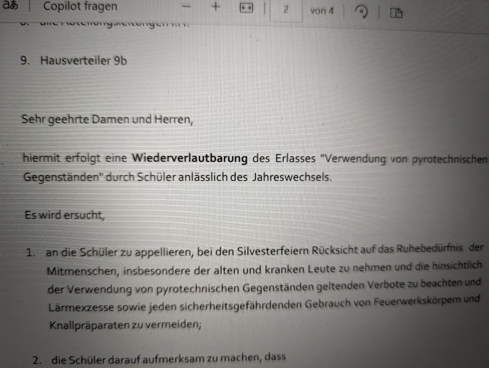 Bildschirmfoto eines Erlasses der bildungsdirektion zum Thema Feuerwerk= verboten.