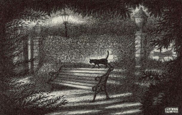 It’s nighttime in an atmospheric hidden alcove of an old park and a black cat is slinking across the top of an ornate park bench. Through the surrounding dense foliage lamplight shines upon the cat, casting the cat’s shadow along an ivy covered wall behind the bench. 

I actually witnessed this scene on one of my many moonlit nighttime sojourns. The cat didn’t like my staring and quickly ran away. It is rendered in black ballpoint pen. 