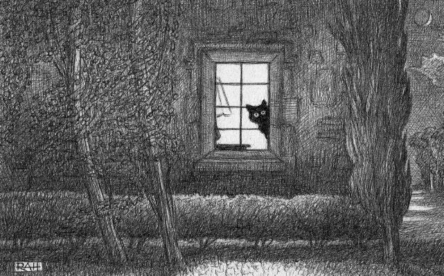 Hark! What was that?!

Our feline friend has heard mysterious noises emanating from out in the garden. Were the sounds an ‘it’ or a ‘them’? She thinks she sees shadowy shapes dart across the lawn and slither through the shrubbery. The poor cat is trapped indoors. All she wants is to leap through that window into a moonlit landscape of wild curiosity filled with unknown and unseen excitements - and perhaps an exploit or two of good old mischief. 