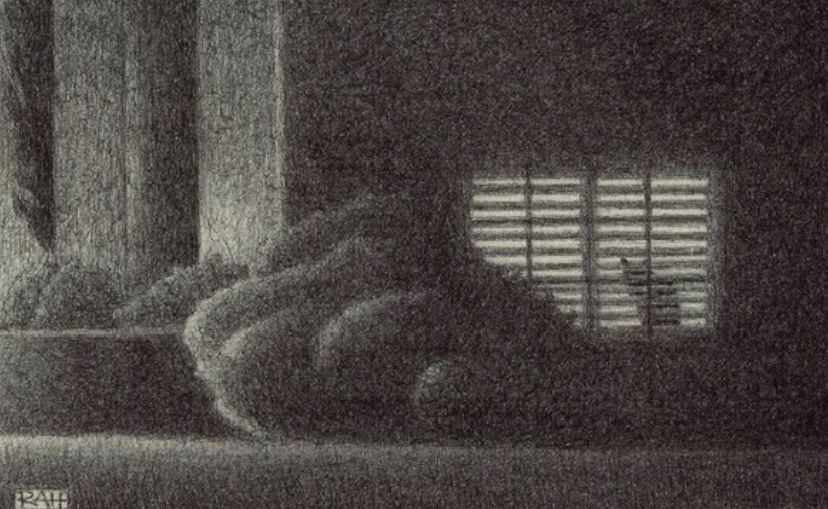 “3 AM”
giclée art print 

It’s 3 AM in suburbia and someone is still awake. A silhouetted cat sits on a windowsill behind open blinds peering out at a mysterious nighttime world. This is her favourite post in the house. From here she can look out over the expansive lawn and clipped hedges. Her humans have long since gone to bed. There is streetlight shinning on the house, hedges and lawn. She’s hoping to see something - anything - move about in the shadows. She listens intently for any rustle in the leaves, snap of a twig, or scampering over the grass. For now, all is silent except for the faint rush of a passing car. The night belongs to her. 

I've drawn this in ballpoint pen in a very fine, wispy cross-hatching style trying to achieve that vague, mysterious tonality seen at that hour. I take a lot of walks late at night, and this is a home l've passed several times, complete with the lit window. I always imagine a cat sitting there, and the beauty is that I can make it so. 

This is a companion piece of sorts with “The Yearning for Adventure”, also available in my Etsy shop. 