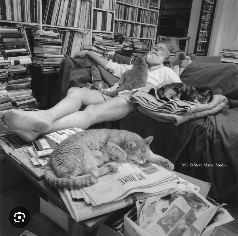 Edward Gorey napping on the couch in his living room, surrounded by cats. 