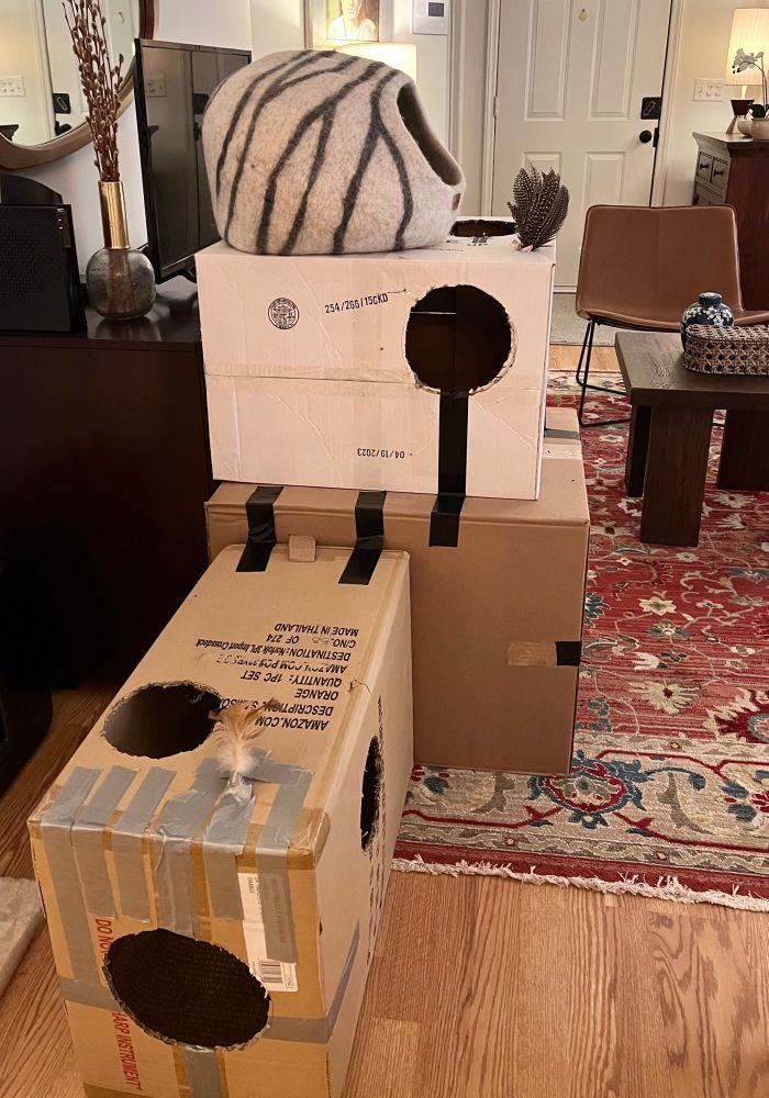 A bunch of large cardboard boxes connected to make a cat fort. Inside the boxes, there are holes so the cat can go from one box to the next, and there are also holes on the outside.