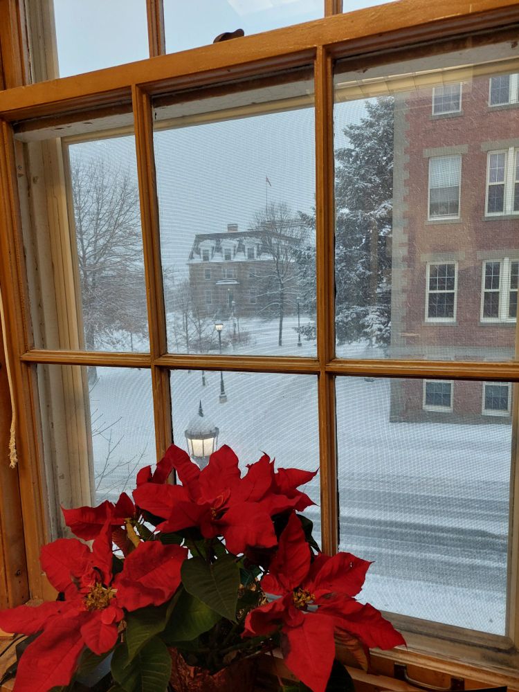 Looking out through a window, snow falling and the Old Arts Building on UNB campus in the distance. A poinsettia sits on the window sill.