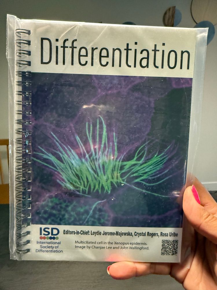 A notebook that says Differentiation and has a picture of cilia on it 