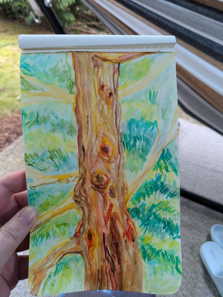 A rough water color sketch of a pine tree trunk and branches covered in knots.