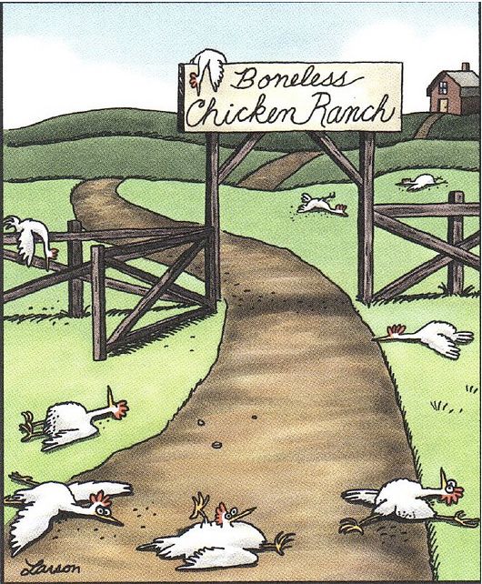 Gary Larson FAR SIDE cartoon, December 12, 1983 “Boneless Chicken Ranch” showing 9 chickens sprawled in various positions around the ranch, clearly lacking skeletons.