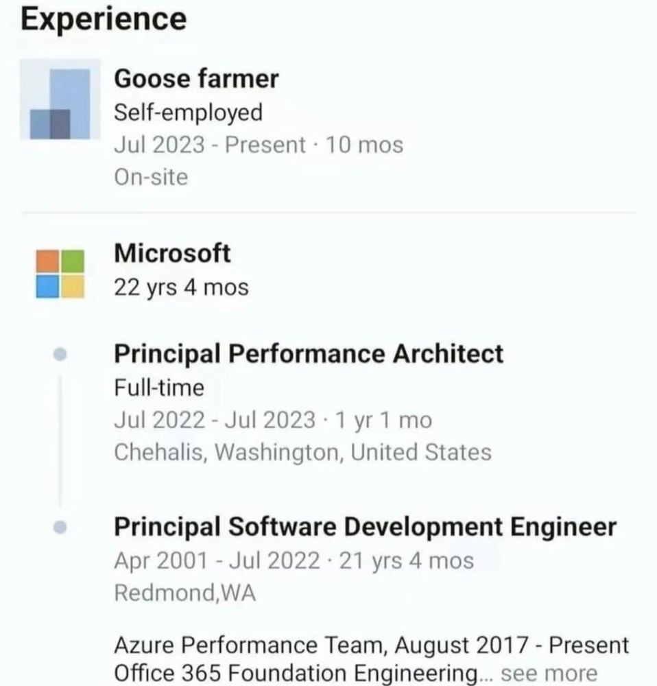 Screenshot from Linkedin showing a person with 22 years of experience working at Microsoft, from 2001 to 2023, and then the current job, as a self-employed goose farmer