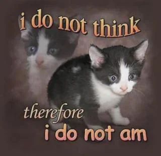 I do not think, therefore I do not am.