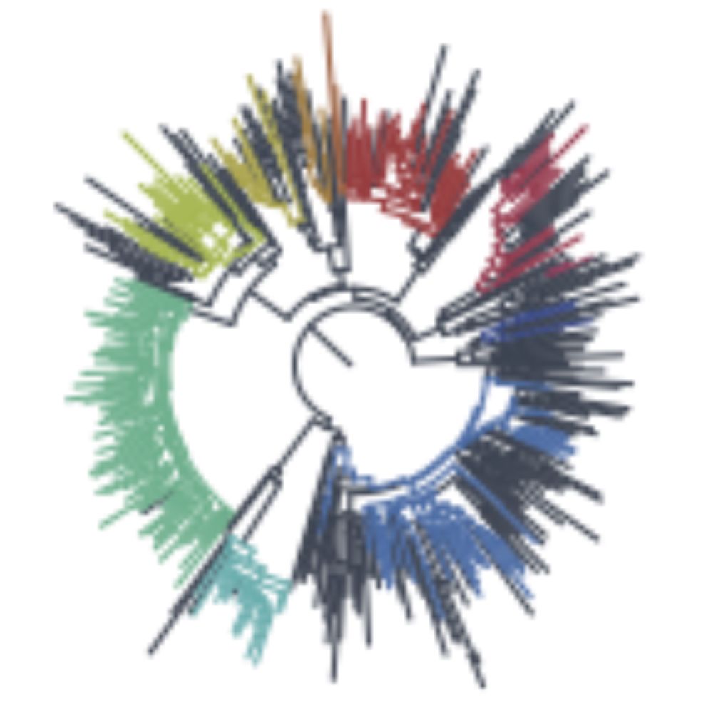 Note about availability of H5N1 2.3.4.4b consensus sequences from cattle and other species: