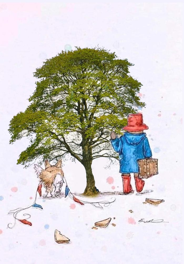 An illustration of paddington bear and a corgi walking off into the distance, hand in hand with a realistic image of the sycamore gap tree.