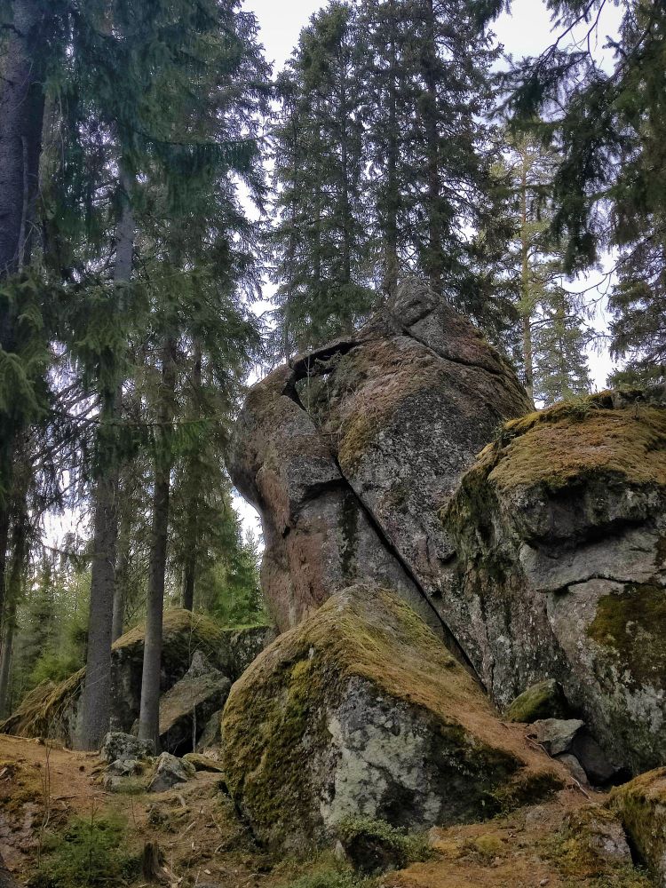 Big boulders in a forest.