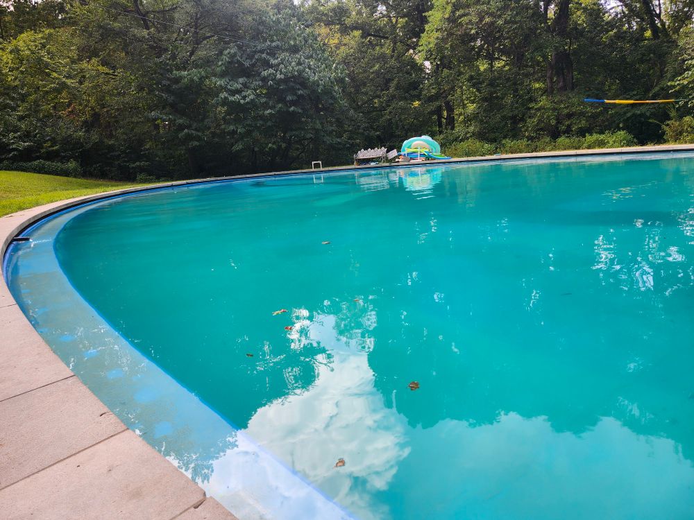 A large oval, spring-fed pool in the woods.