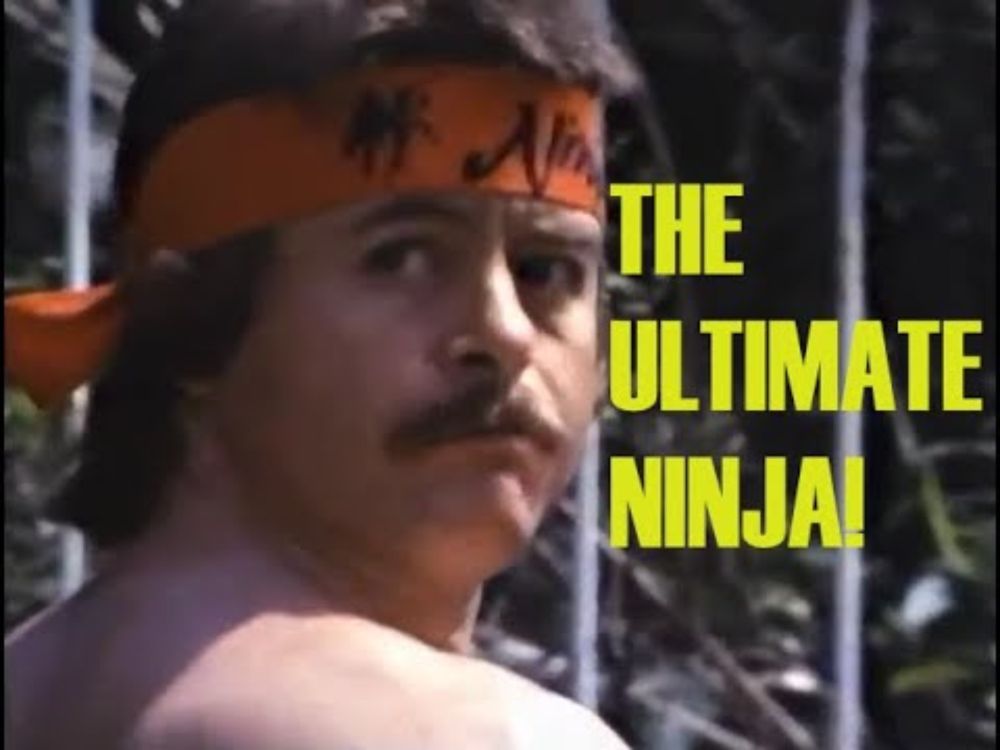 Ron Swanson, The Ninja Years