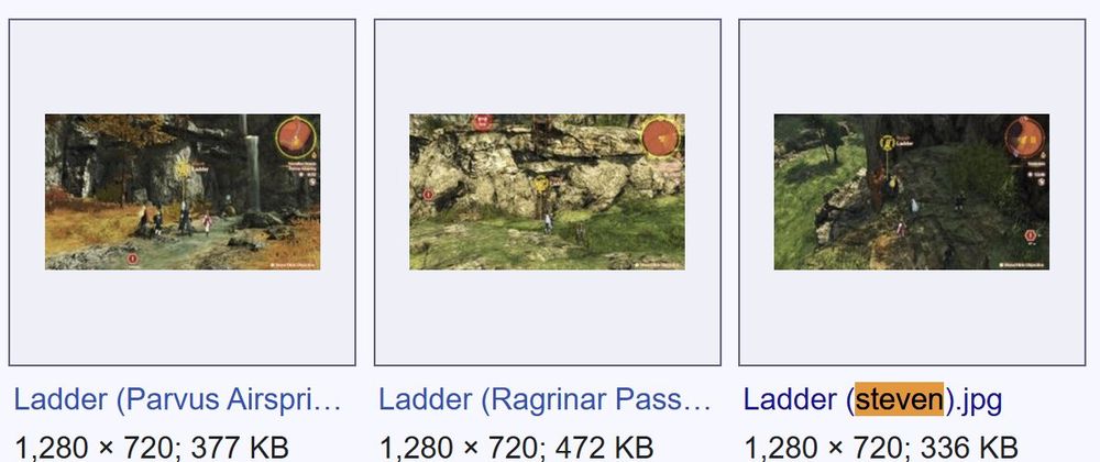 Screenshot of the "Screenshots (FR)" wiki category. Three images are shown: "Ladder (Parvus Airspring).jpg", "Ladder (Ragrinar Passage).jpg", and "Ladder (steven).jpg".