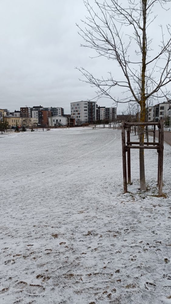 A photo of a park which grass is covered by a layer of icy snow.