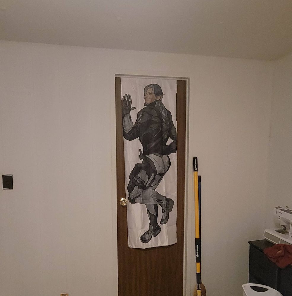 arthur nightingale body pillow cover hung up in a doorway