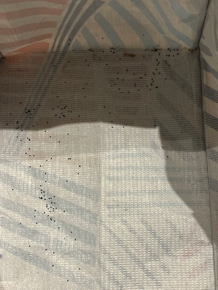 Pieces of black glitter on the bottom of a tote/carrying bag 