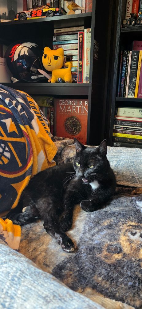 A black cat pauses cleaning himself to reflect on the state of the world...maybe.
