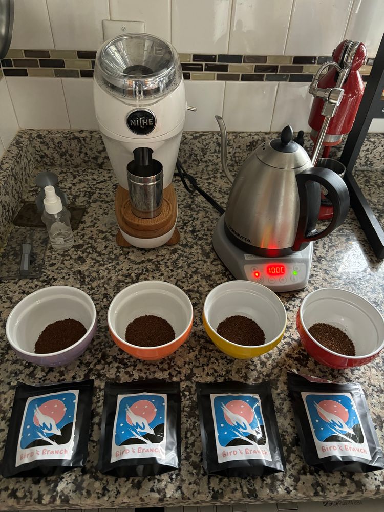 Ground coffee in colored bowls on a granite countertop, with a coffee grinder, electric kettle, and a manual espresso press in the background.
