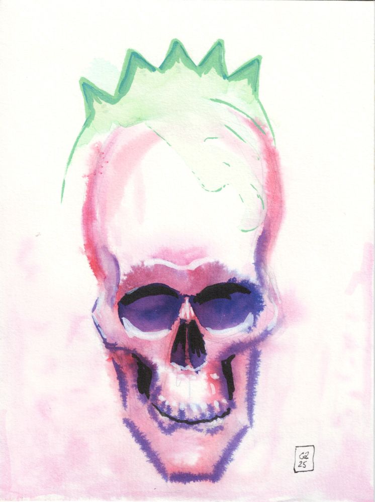 Fuzzy, warm colored-skull with a green crown