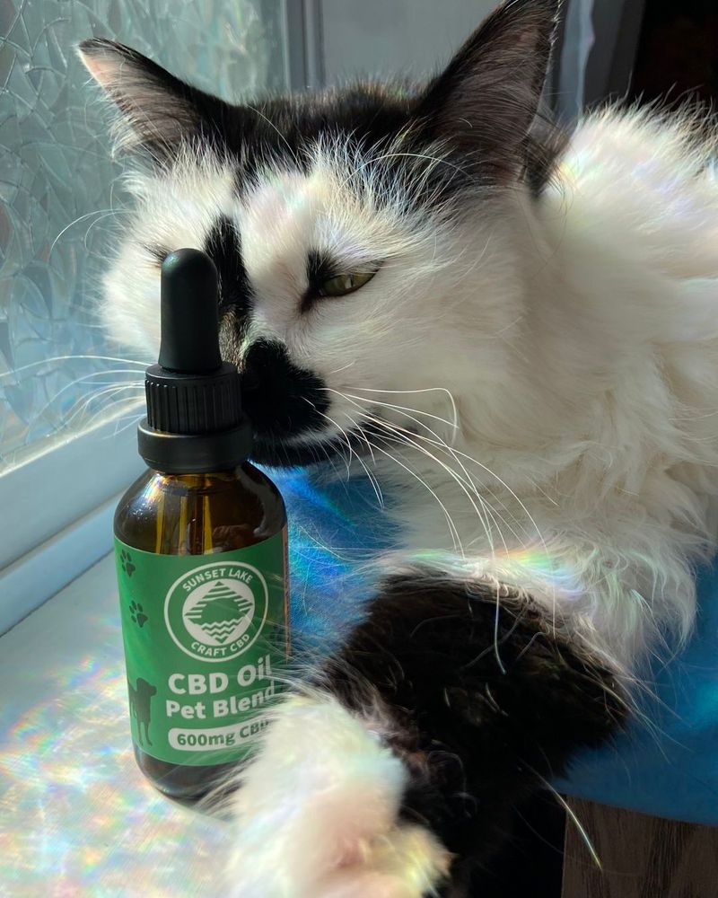 Photo of a white and black cat named Ouija cuddling up to a dropper bottle of Sunset Lake Pet Blend.