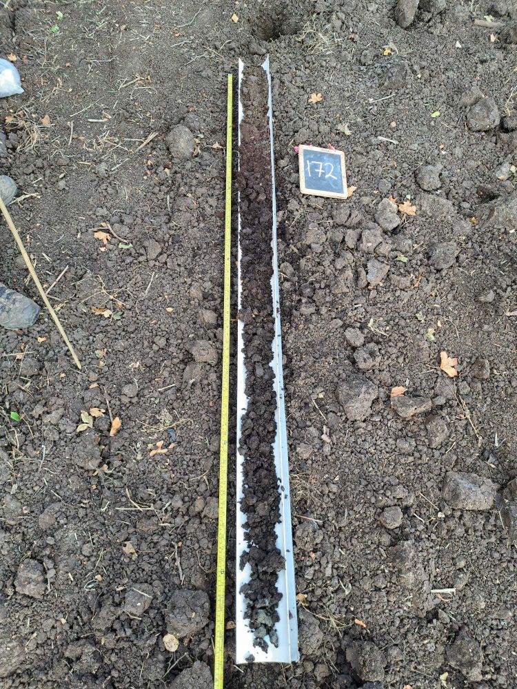 Auger point 172