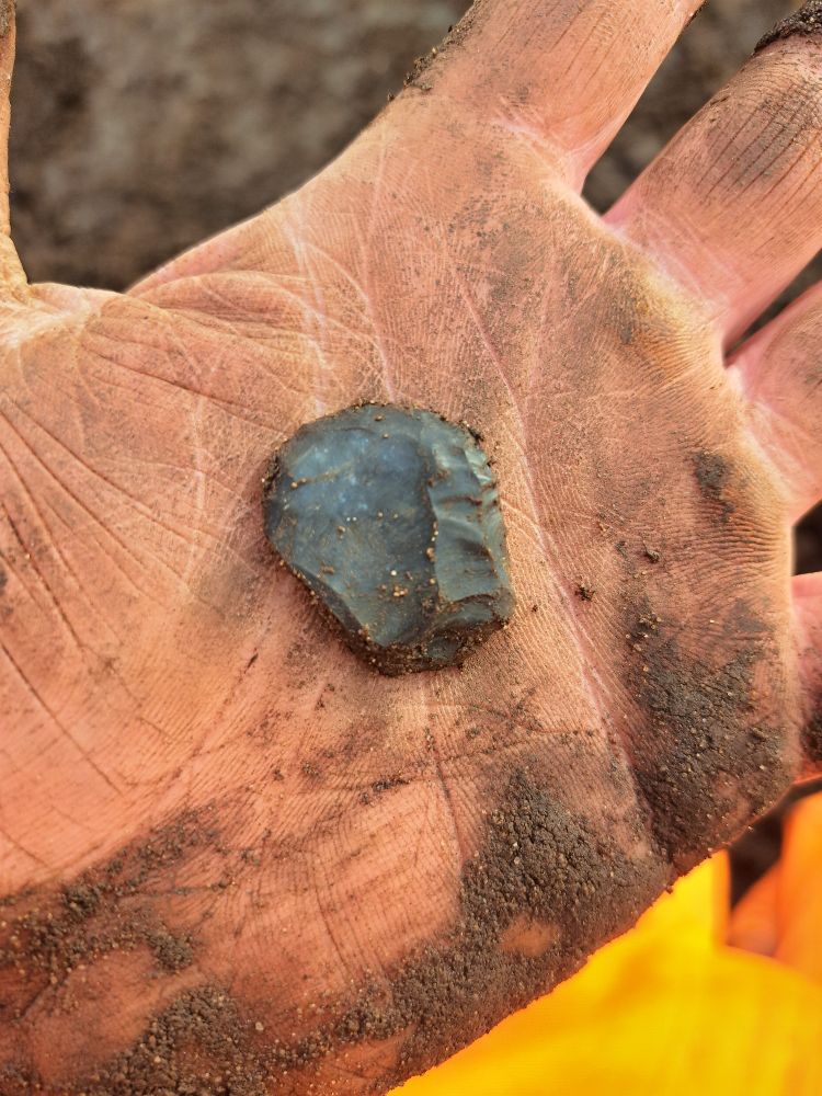 Small worked flint 'thumbnail' scraper presented on flat, muddy palm