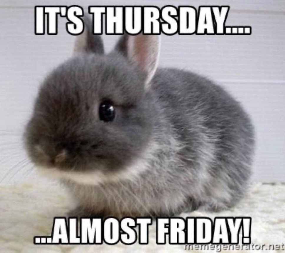 meme of a grey rabbit with the caption "IT'S THURSDAY.... ...ALMOST FRIDAY!"