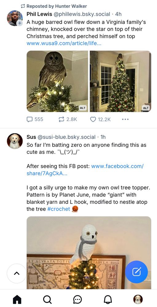 Comment image