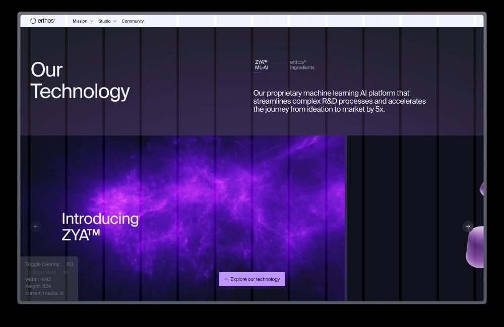 erthos home page with overlaying grid helper