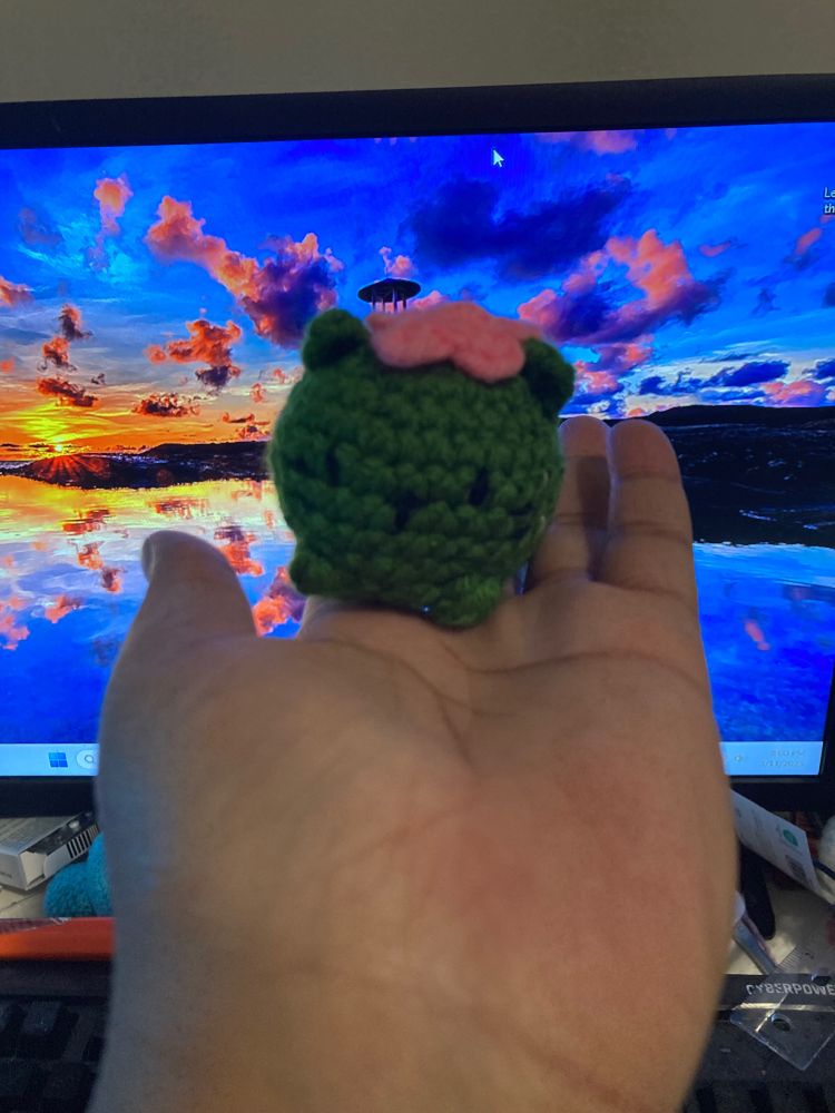 Front view of a crocheted cat cactus.