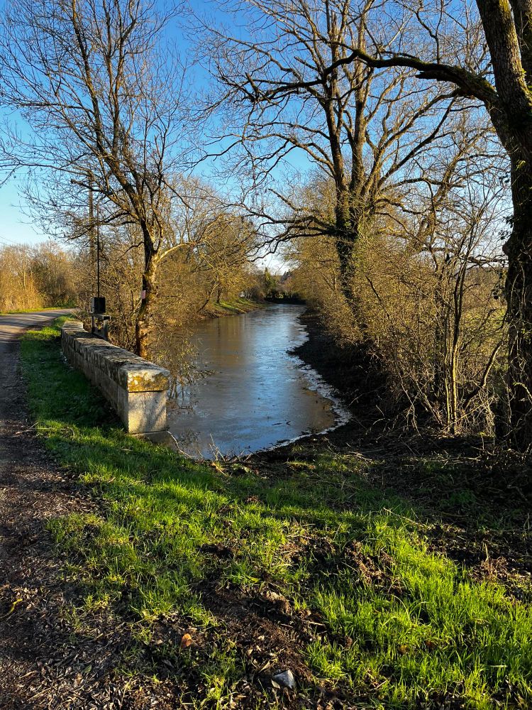 Une nature au ralenti un bras de rivière qui commence à geler 