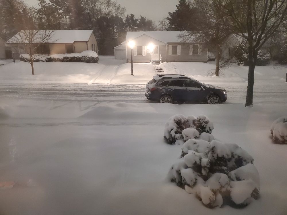 A snow-covered street, lit by a street lamp showing snow still falling. On the near side of the street, sidewalks and bushes are buried in thick, white, fluffy snow.