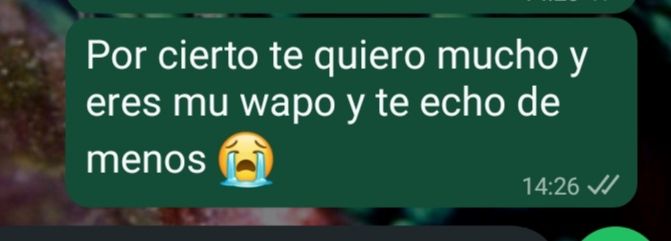 Captura cortada de WhatsApp de un mensaje que pone: Por cierto te quiero mucho y eres mu wapo y te echo de menos 😭