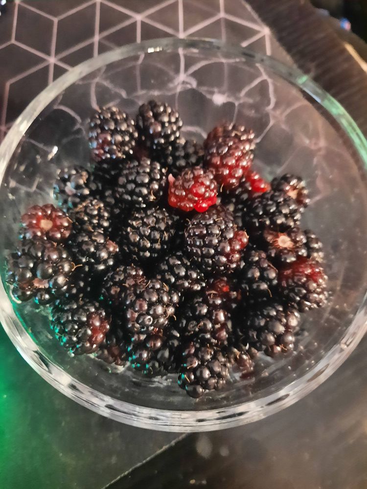 A small glass container with about a cup's worth of dewberries in it