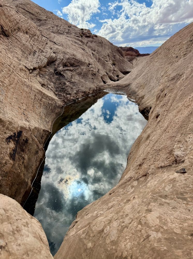 Potholes of water are magical gathering places for life and beauty.

#WaterWednesday #nature #ProtectOurPublicLands #landscape #photography #reflection #hiking #backpacking #utah #desert #water #EastCoastKin