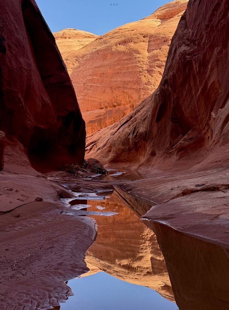 Happy Sunday! I love finding unknown canyons in rarely visited places. So many gems when you spend the time and effort to get out and look around.

#Stunday #nature #utah #ColoraDay #OrangeSun #hiking #ProtectOurPublicLands #backpacking #photobyraykenny #ShotsInSlots #wildplaces #offtrail