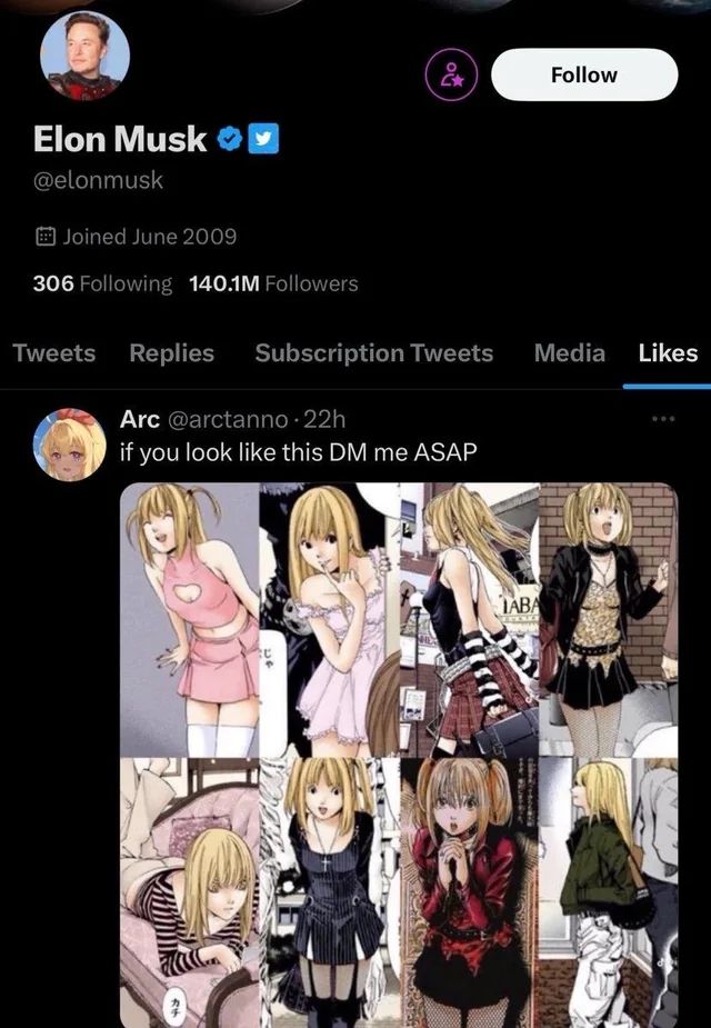 Screen du compte twitter d Elon Musk (datant d'il y a plusieurs mois) 

On voit la catégorie des tweets likés par Musk, et le premier tweet montre plusieurs images de Misa Amane du manga Deth note dans différent look

le tweet a pour écrit "If you look like this DM me ASAP" 