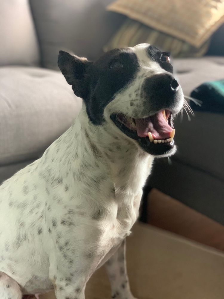 Ripley with an enormous stupid grin on her face.