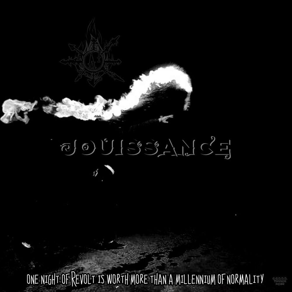 A photograph take. At night, it is almost all black except for a Molotov cocktail in flight. The molotov also barely illuminates the arm & 2 legs of the insurgent trowing it, as well as a portion of the street. In a fading font written in big letters in the middle of the photo is the word: Jouissance.
In small print along the bottom reads, "One night of Revolt  is worth a millennium of narmalcy. There are two other barely visible images l, if you are the sort who would zoom in until you can see it, contact me, and I will let you know what they are. Or you can be like most people with better things to do and just scroll onwards
