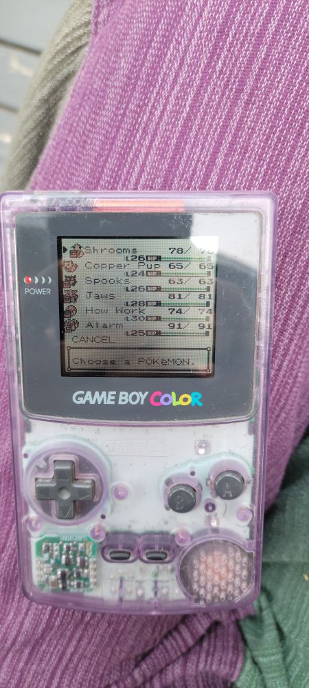 Pokemon party screen on crystal gba