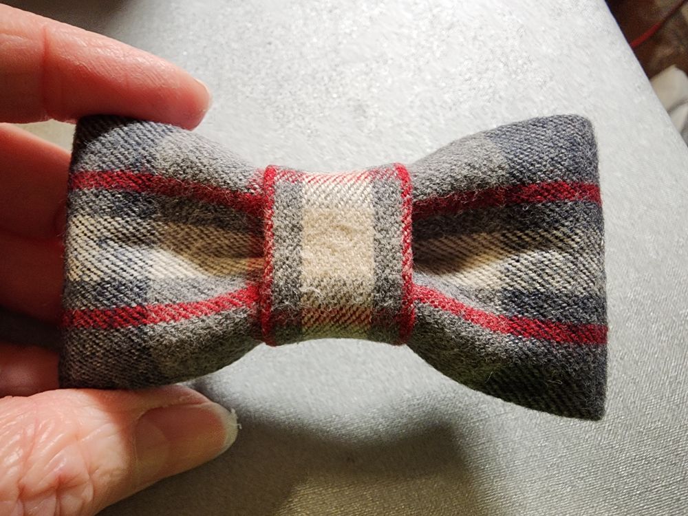 Front of a bowtie