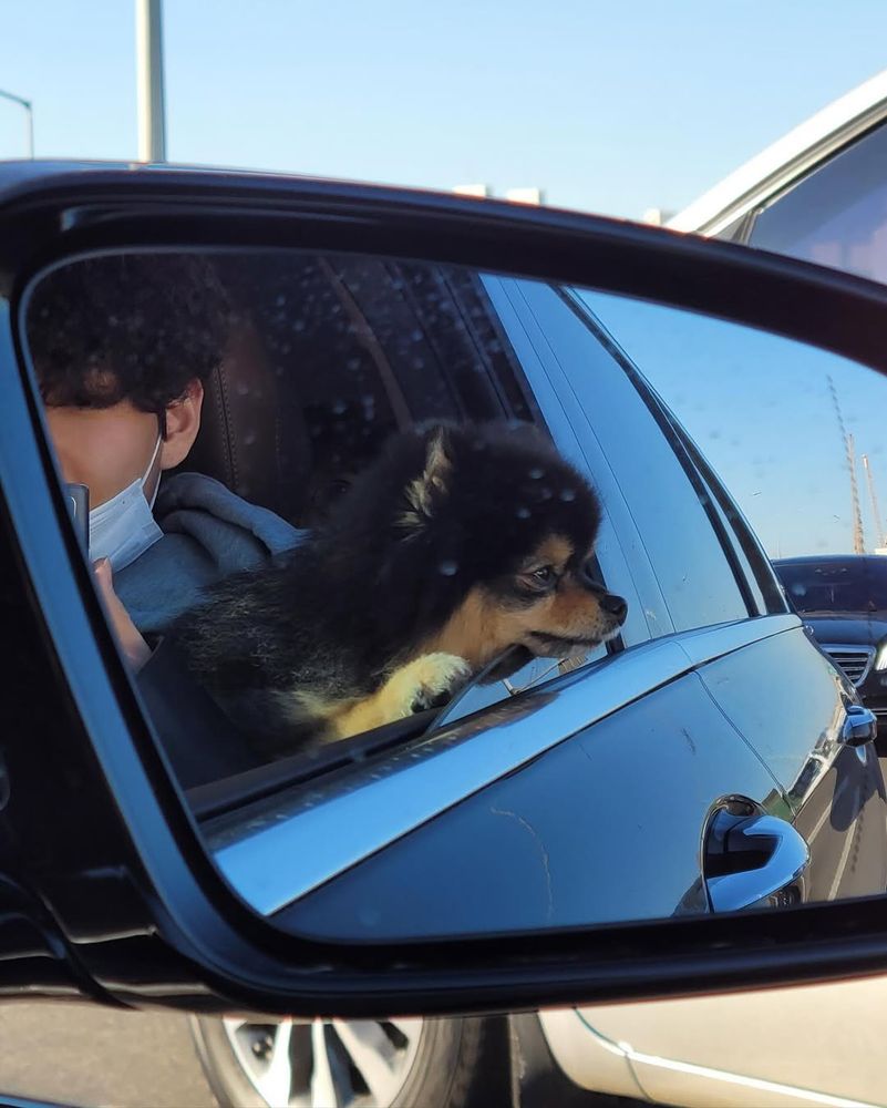 Yeontan looking out of a car's window. You can see Taehyung taking the photo on the car's mirror